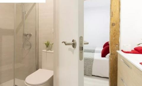 apartment from day apartment for rent for companies in Madrid Sol
